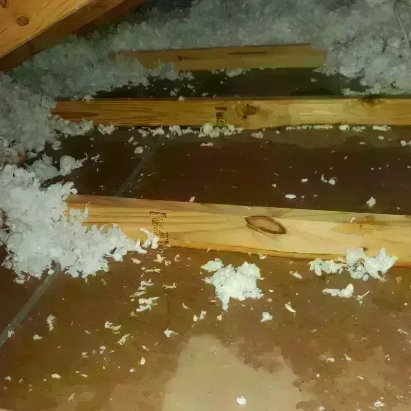 Attic Water Damage in Lavaca County, TX